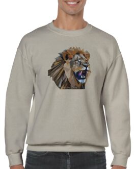 SWEAT MANCHE LONGUE